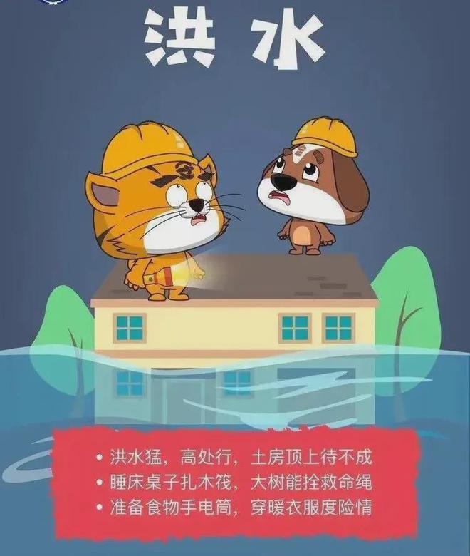 人人讲安全个个会应急——512全国防灾减灾日(图3)