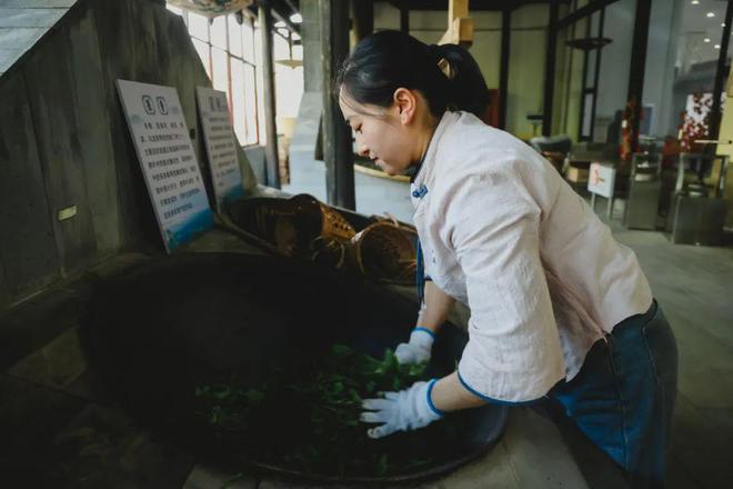 采茶、制茶、烧烤、露营你想要自然和野趣腾冲茶博园都能实现(图5)