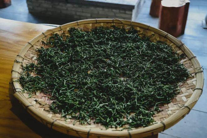 采茶、制茶、烧烤、露营你想要自然和野趣腾冲茶博园都能实现(图8)