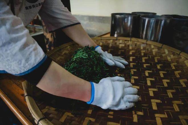 采茶、制茶、烧烤、露营你想要自然和野趣腾冲茶博园都能实现(图7)