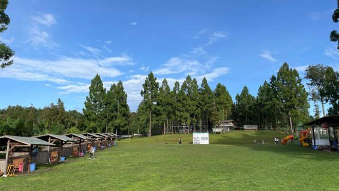 采茶、制茶、烧烤、露营你想要自然和野趣腾冲茶博园都能实现(图10)