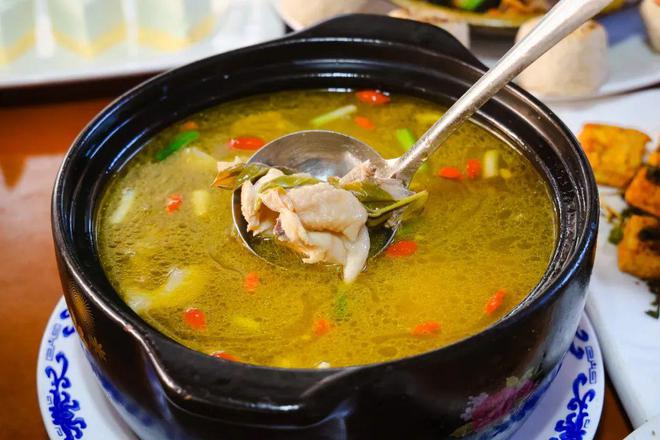 采茶、制茶、烧烤、露营你想要自然和野趣腾冲茶博园都能实现(图17)