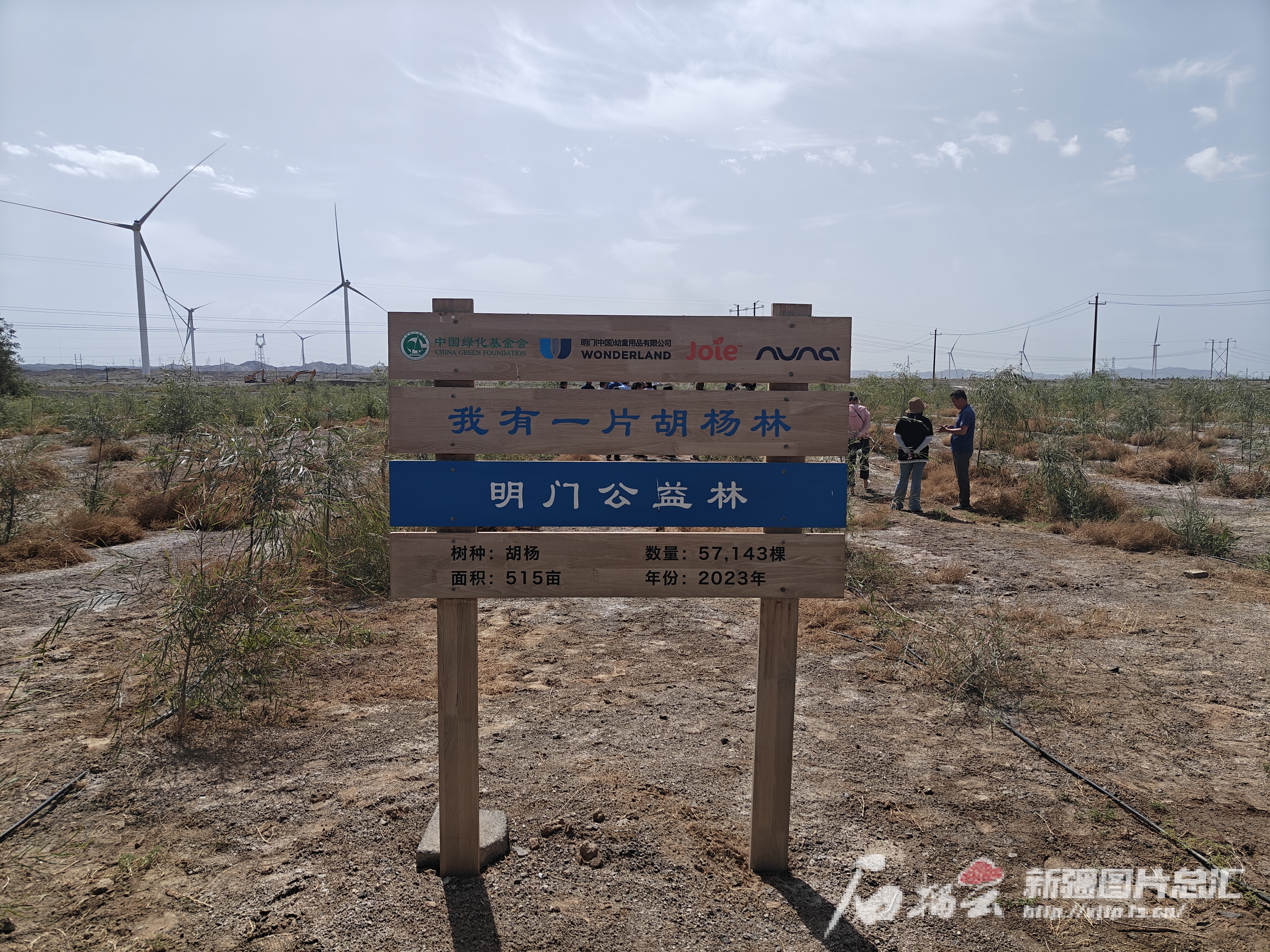 天山环保行丨库尔勒：荒山变绿洲筑牢梨城绿色屏障(图3)