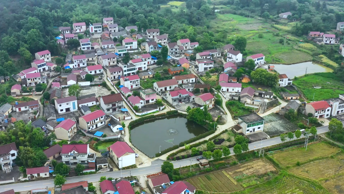 北房镇举办政银合作签约、数字乡村启航暨土壤修复试验基地揭牌仪式(图1)