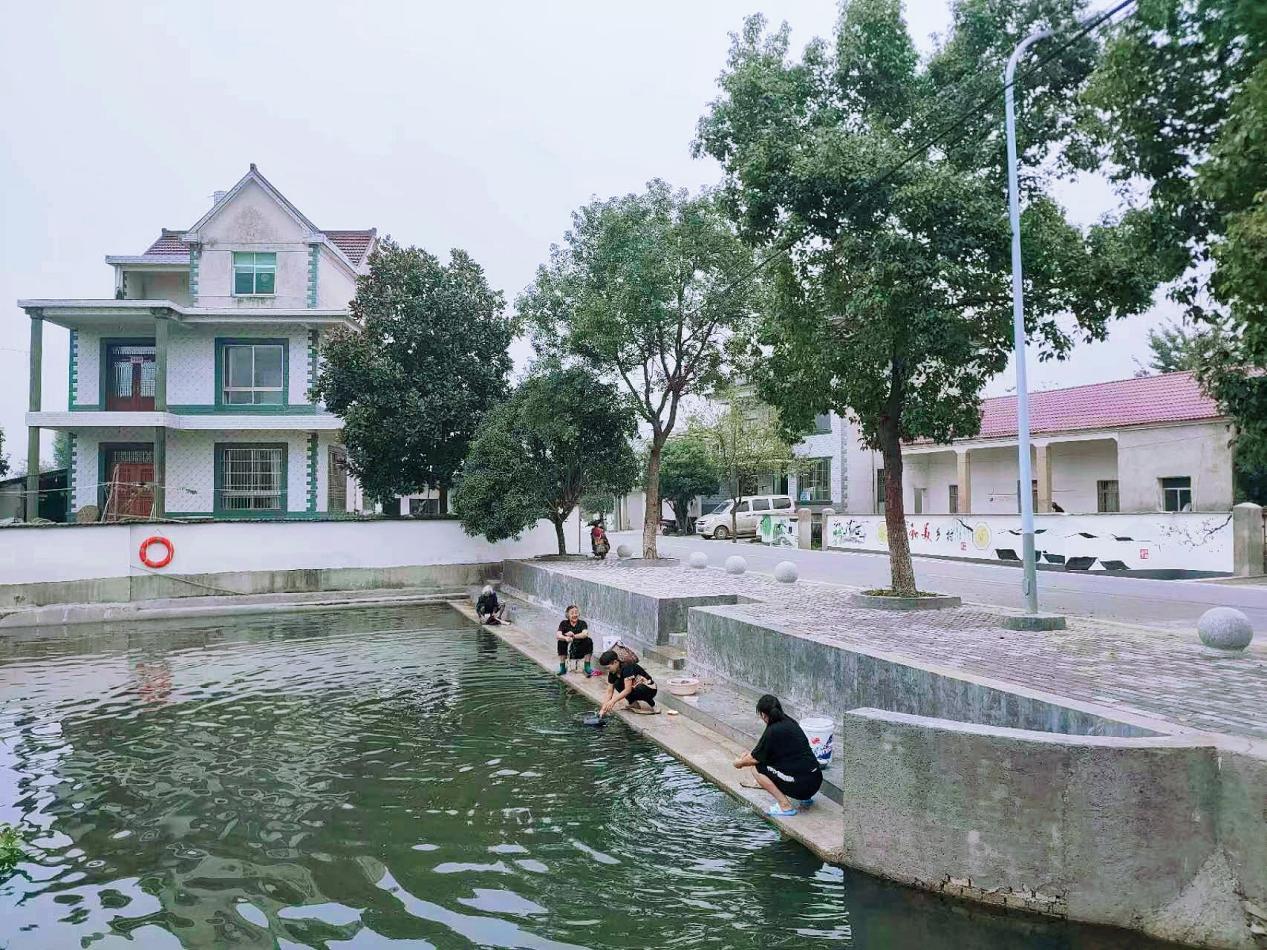北房镇举办政银合作签约、数字乡村启航暨土壤修复试验基地揭牌仪式(图5)