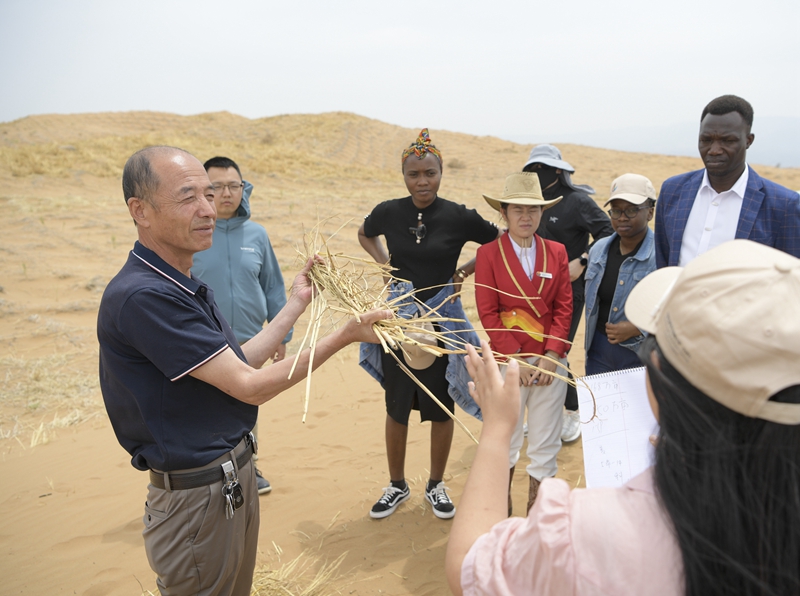 从“土发明”到“黑科技”——新技术新工具为治沙提供新“利器”(图10)