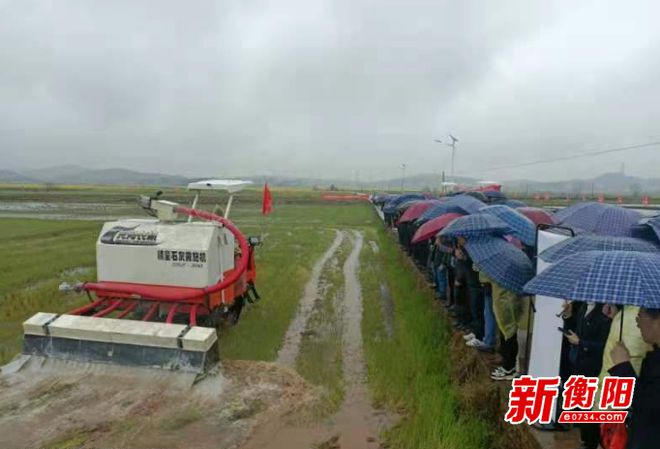 衡阳市石灰撒施作业治“顽疾”改良农田助力春耕备耕(图2)