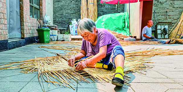 新白洋淀纪事