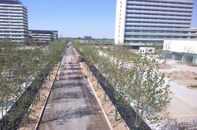 全力以“复”中海城建假日不休开发区基础设施建设加速跑(图8)