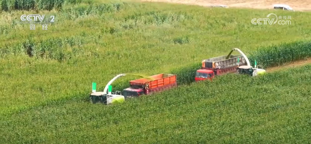 三部门部署推进老旧农机报废更新农机以旧换新带来农业生产“加速度”(图3)