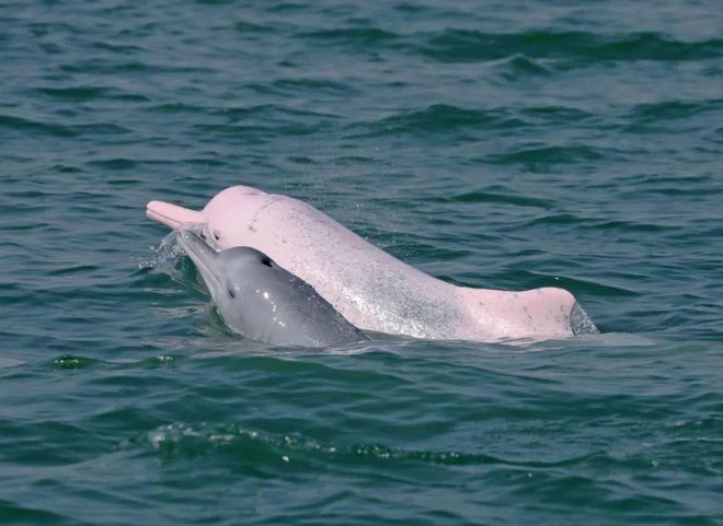 广西真的好！(图9)