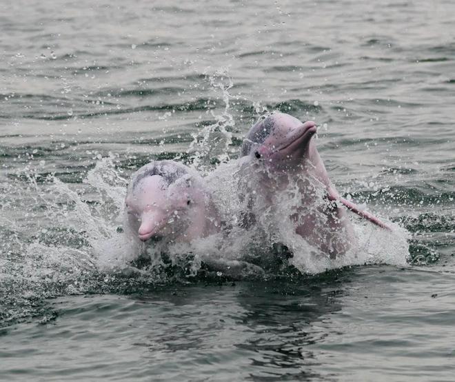 广西真的好！(图10)