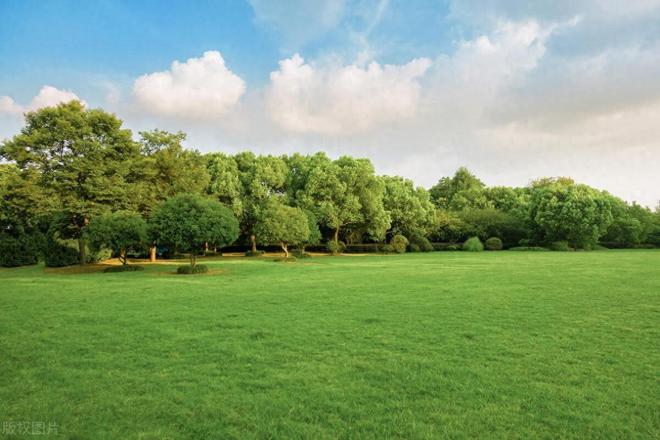 园林绿化土壤改良应用松土促根土壤改良技术