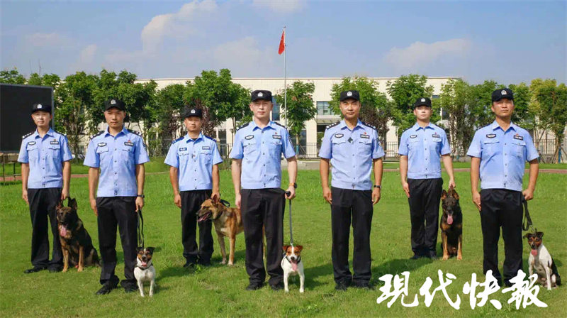 全国最强警汪大PK！江苏这对亲密战友勇夺第一(图4)