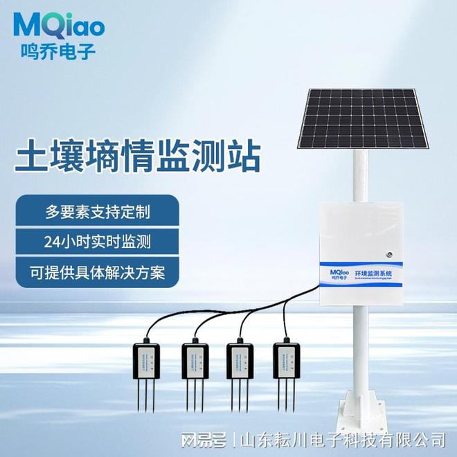 花卉土壤干湿检测仪：农业绿色转型的智慧引擎