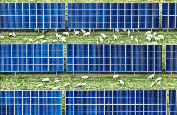 我国单体容量最大采煤沉陷区光伏基地并网发电(图3)