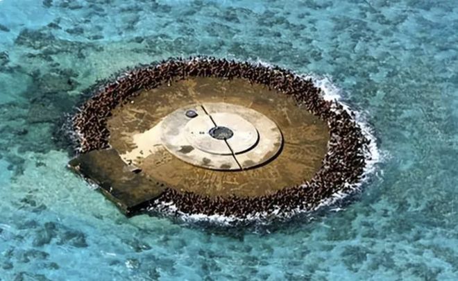 民用的叫机器狗军用的叫机器狼(图6)