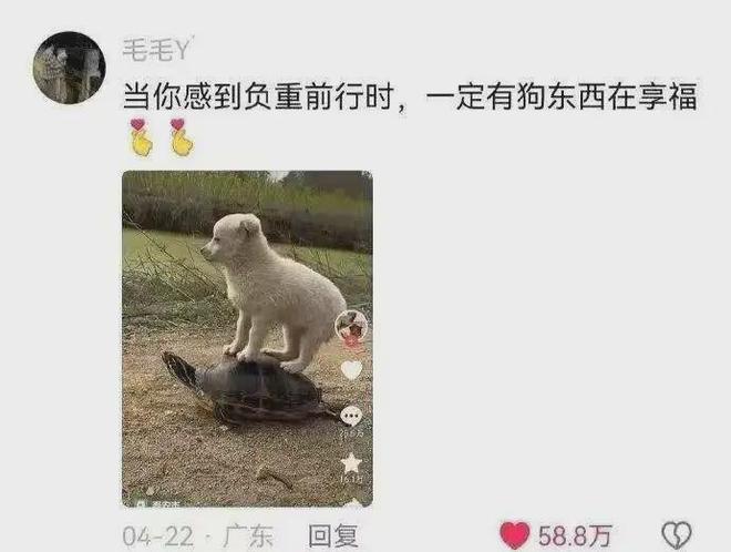 西安这件事让人既愤怒又心酸欺负老实人他们总能有办法！(图8)