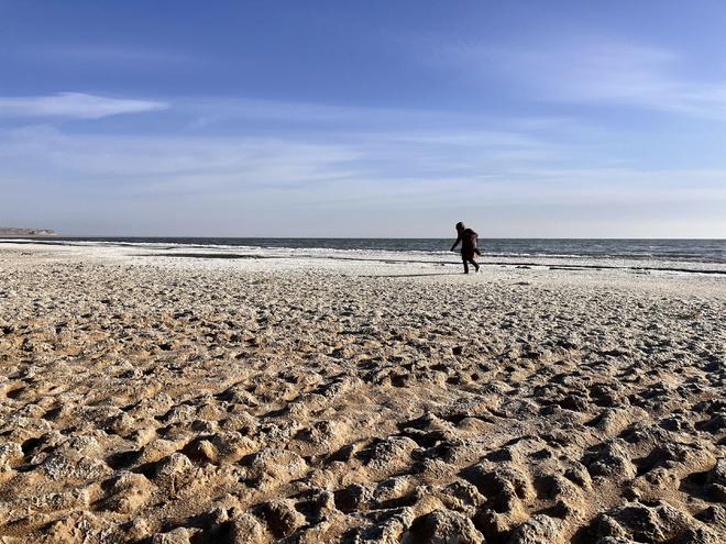 让土壤康复的五大解决方案