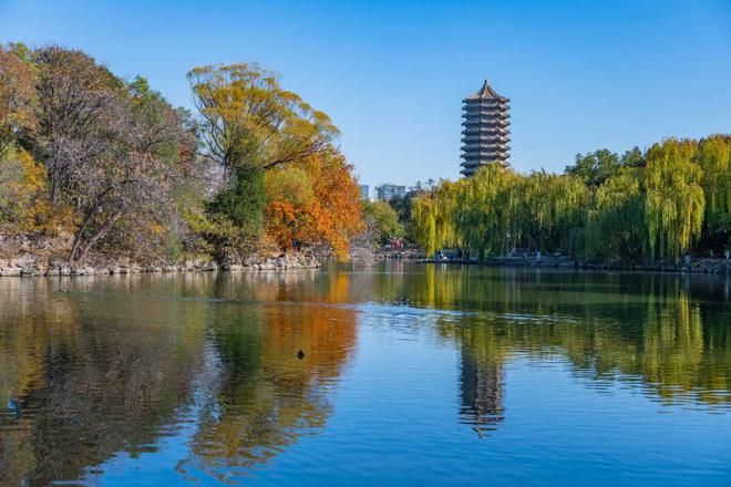 求贤榜丨2025年北京大学环境学科优秀青年人才国际论坛诚邀海内外英才参会
