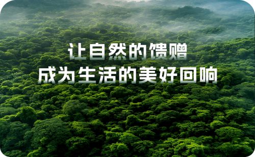 海南森城生态打造绿色未来共建生态家园(图4)