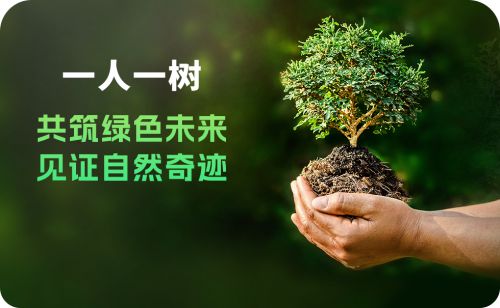 海南森城生态打造绿色未来共建生态家园(图3)