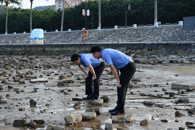 “百岛之市”护海文章(图4)