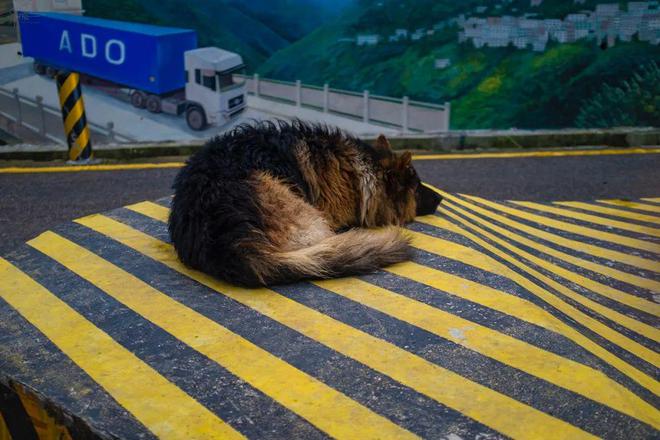 长途摩旅到樟木口岸云雾缭绕中遭遇此次行程最让人无奈的劝返！(图2)