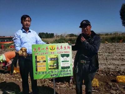 郑州永丰生物肥业有限公司(图2)