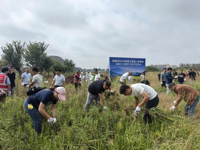 安顺市携手贵州民族大学：共御外来物种入侵筑牢生态安全防线(图3)