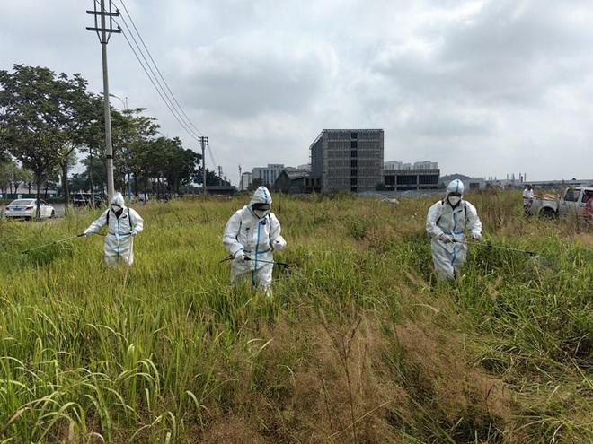 安顺市携手贵州民族大学：共御外来物种入侵筑牢生态安全防线(图5)