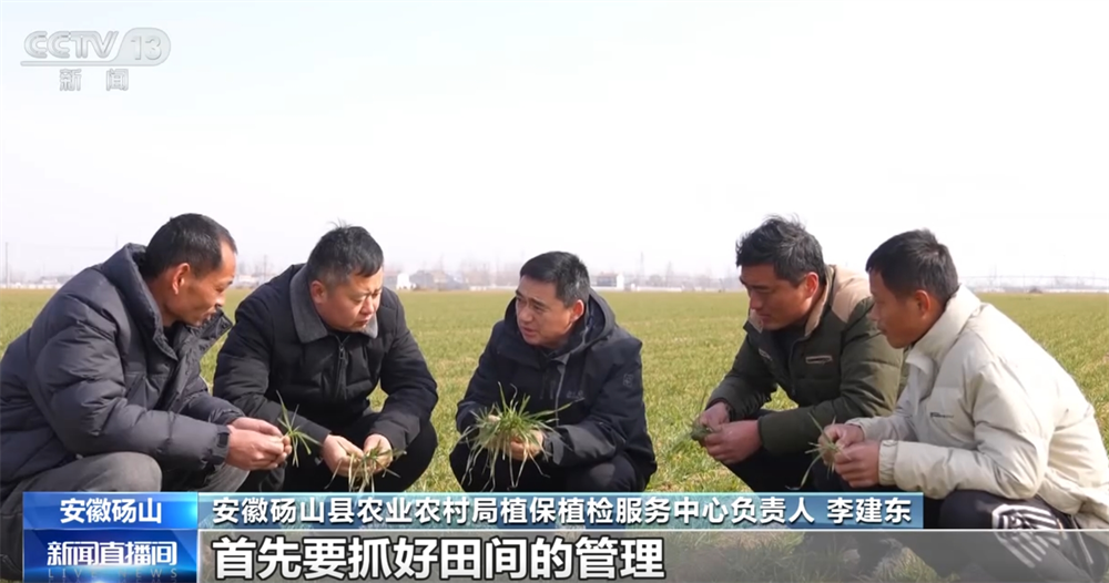 “丰”景在望智慧农机、科学农技为小麦春管工作按下“加速键”