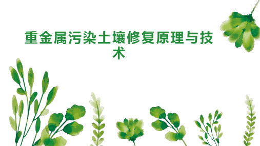 第7章污染土壤的环境修复技术-环境修复原理与技术