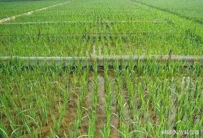 土壤检测常用的仪器
