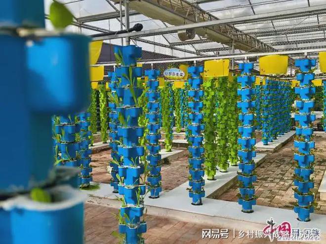 西北地区农业科技创新典型案例分析(图1)
