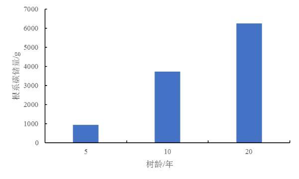 为沙海锁边在腾格里种下希望(图2)