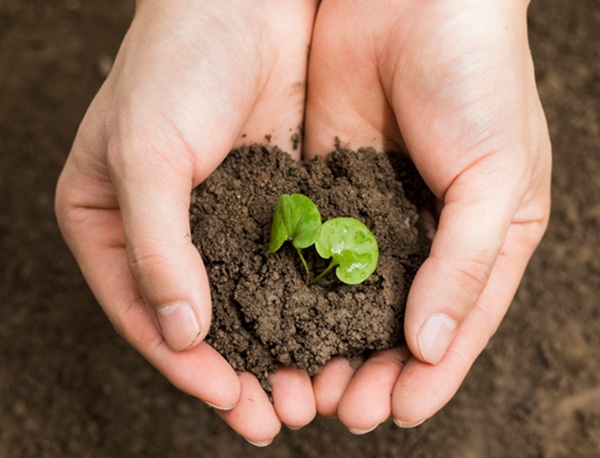 土壤修复技术：如何从源头解决问题？