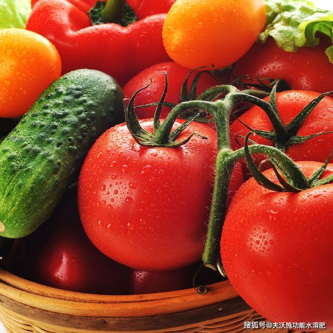 微生物菌剂：从土壤修复到增产(图1)