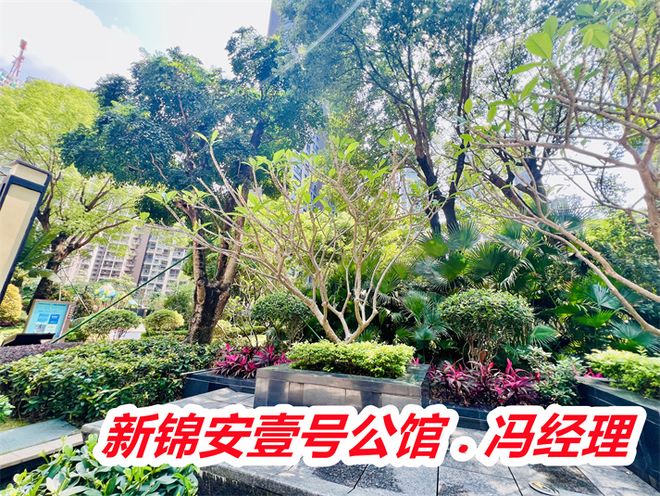 揭晓：新锦安壹号公馆真实业主评价实际成交价老板是谁(图2)