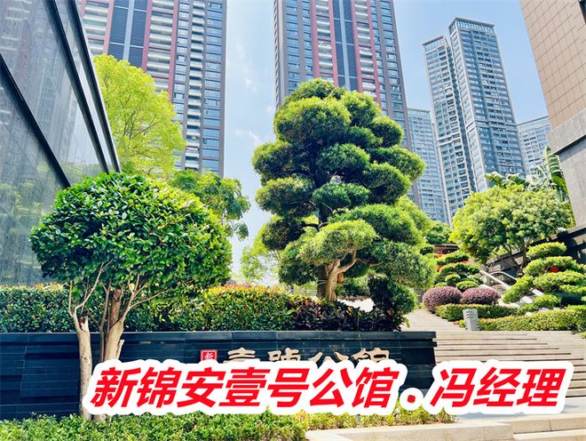 揭晓：新锦安壹号公馆真实业主评价实际成交价老板是谁(图3)