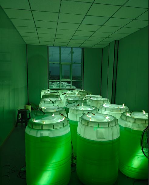 产学研共塑绿色科技！巷西环境荒漠治理技术“世界领先”丨青创引力场(图5)