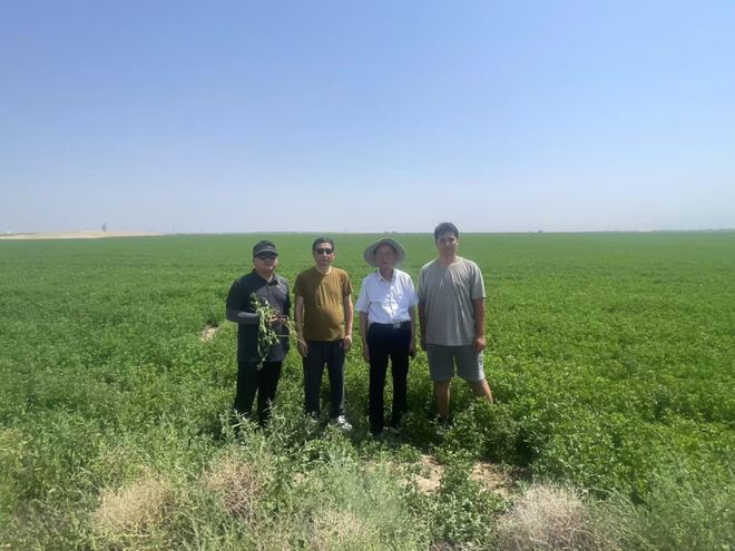 常用土壤修复技术及其特点(图2)