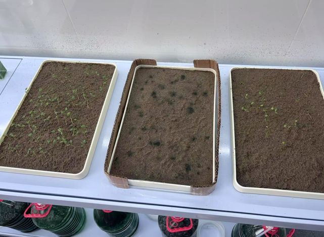 常用土壤修复技术及其特点(图8)