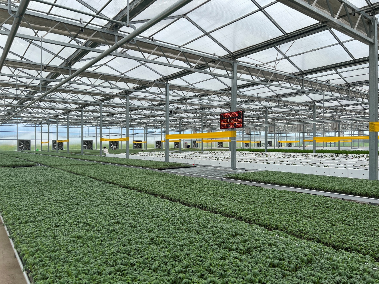 “小菌种”绘就“大农业”(图2)