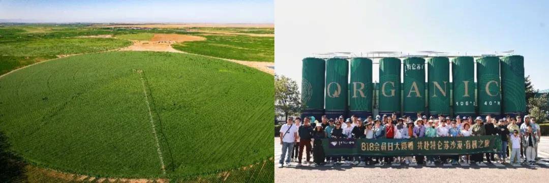 逆势增长的蒙牛做对了哪些事(图8)