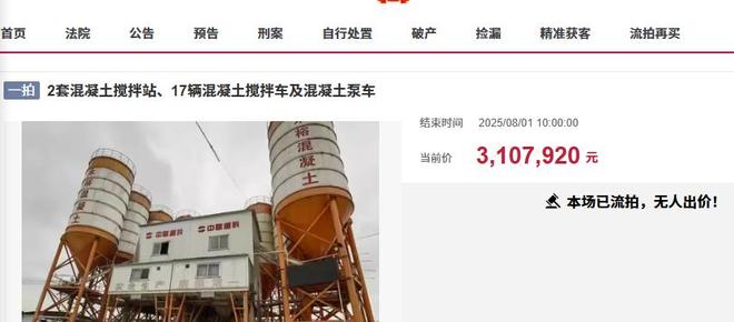 玉林市一个大型混凝土搅拌站打包降价拍卖才246万起还流拍(图2)