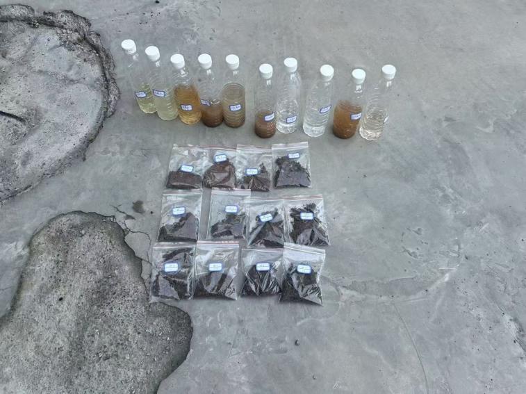 青春筑绿秦岭间实践解码生态篇陕西财经职业技术学院“山川育青”生态行动组修复调研纪实(图4)