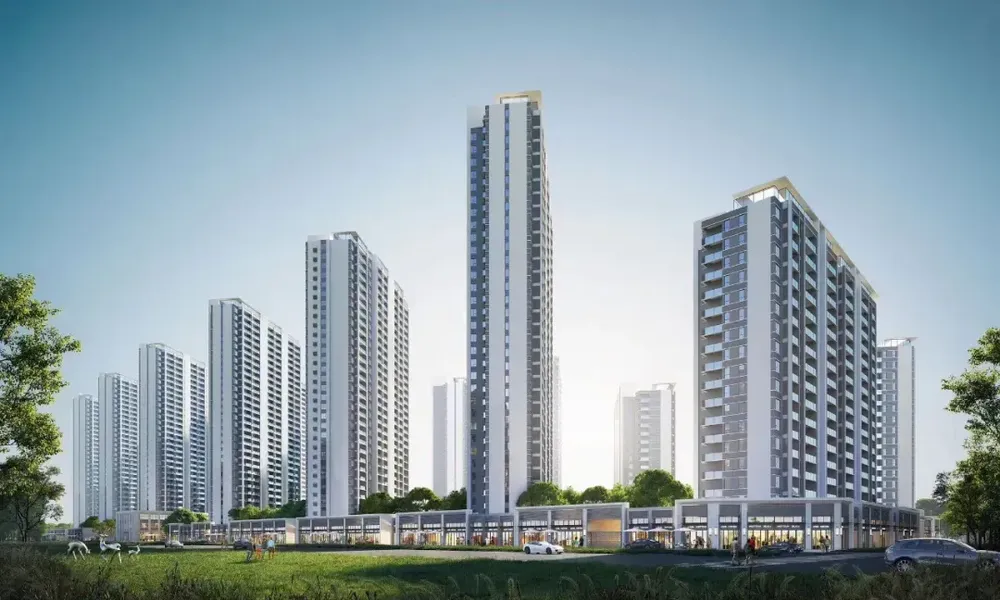 后官湖畔“强沌口”(图3)