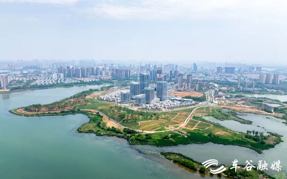 后官湖畔“强沌口”(图2)