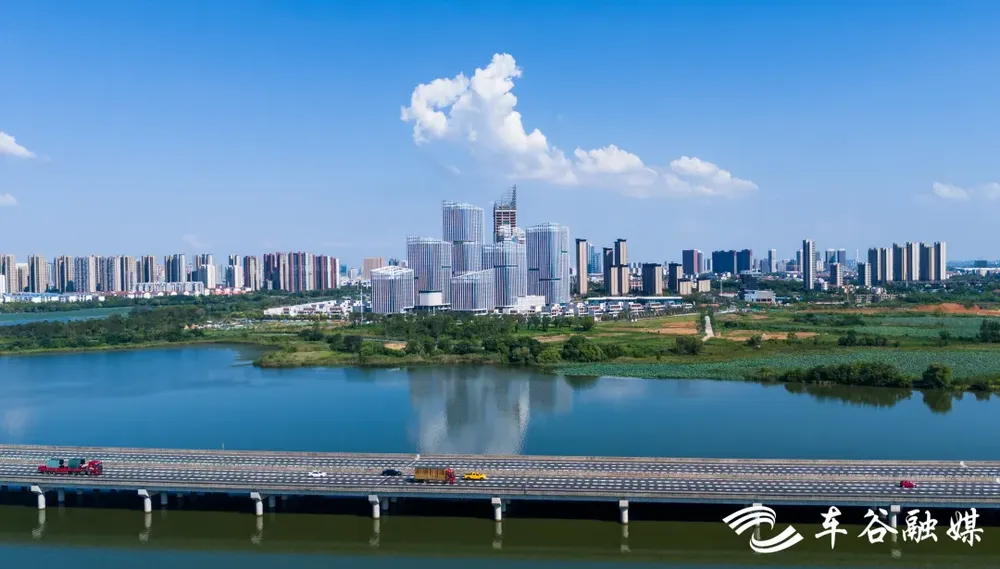 后官湖畔“强沌口”(图8)